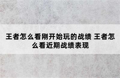 王者怎么看刚开始玩的战绩 王者怎么看近期战绩表现